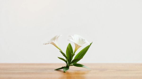 Commandez du muguet : réception rapide chez vous